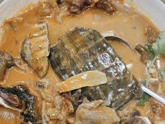 -洞庭家宴·头牌甲鱼(广渠门店)