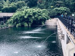 -九龙潭景区