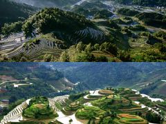-紫鹊界梯田景区