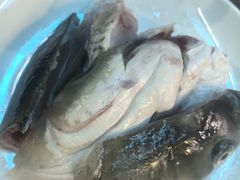 -正能量脆肉鲩火锅
