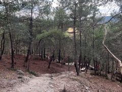 -南京市无想山景区
