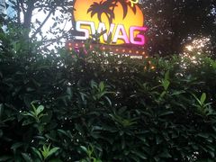 -SWAG·日咖夜酒·城市露营