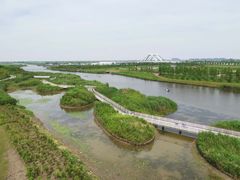 -春花秋色城市公园