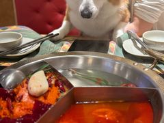 -廖掌柜·重庆鲜货火锅(上海首店)