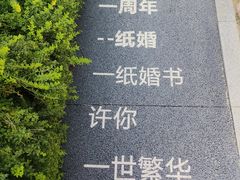 -南京老山国家森林公园