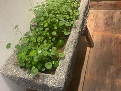 -茶肆(仙林店)