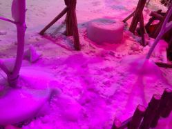 -圣名游乐城冰雪大世界