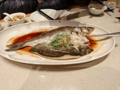 葱油海鲈鱼-聚友斋(陶瓷琉璃馆水晶街店)