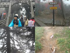 -南岳衡山风景名胜区-南岳大庙