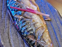 -白石的深夜食堂(济南万象城店)