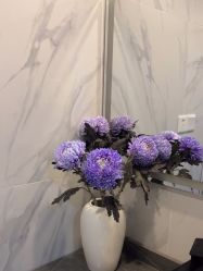 -MEMO Skin漫溯皮肤管理