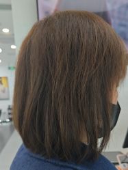 -YESIDO椰岛造型