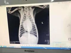 -全心全意连锁动物医院(加州店)