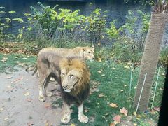 -北京野生动物园