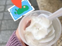 -洪馨椰子