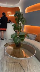 -Cocodemer产后恢复(杭大店)