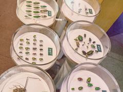 -陕西自然博物馆