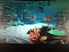 -中国科学技术馆影院