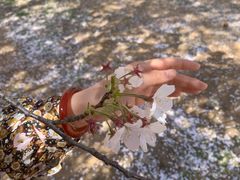 -中国海洋大学（崂山校区）-图书馆