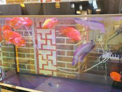 -小城外婆肴私房菜.家宴聚集点(圆明园颐和园·清河上地店)