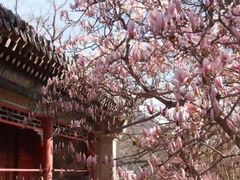 -潭柘寺景区