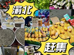 -西南政法大学(渝北校区)