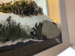 -墨尔本博物馆(Melbourne Museum)