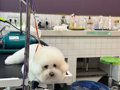 -Oh My Dog宠物沙龙(伊珊娜皮毛护理店)