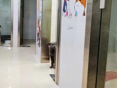 -佳雯宠物医院(金华南路分院)