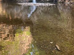 -九龙潭景区
