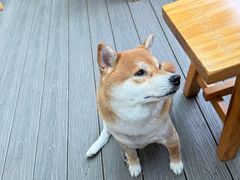 -吴天家私坊铜火锅(远达·帝景华廷店)