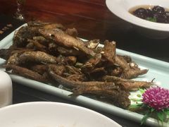 -四季春