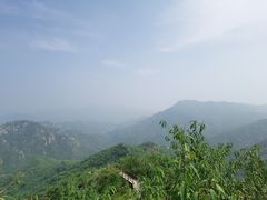 -大岭沟猕猴桃谷风景区