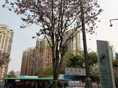 -长富金茂大厦