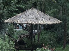 -云南野生动物园