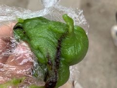 -许阿姨糕团店(南京总店)