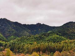 -塔川景区