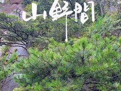 -三清山风景名胜区