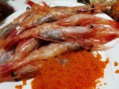 -五月罗马海鲜自助餐厅(陆家嘴店)