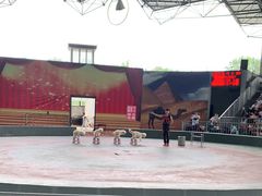 -石家庄市动物园