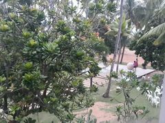 -Ministry of Crab(科伦坡店)