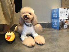 -MOLLY'S萌宠生活馆