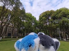 -重庆市江北嘴中央商务区中央公园