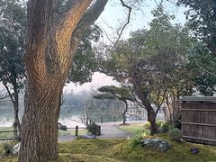 -新荣记(西溪湿地店)