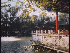 -MAP CHA普洱茶馆(翠湖店)