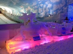 -世界之窗阿尔卑斯冰雪世界