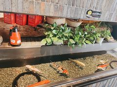 -0776食堂·京城创意菜(七里庄店)