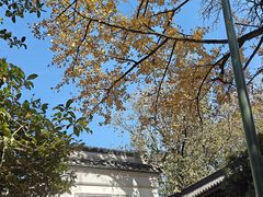 -西湖风景区十里琅珰-五云山
