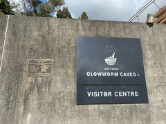 -怀托摩萤火虫洞