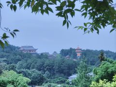 -金水泊山庄·花椒鸡(铁山坪店)
